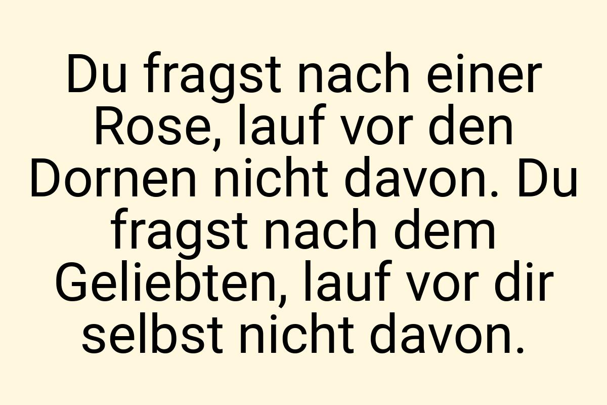 Du fragst nach einer Rose, lauf vor den Dornen nicht davon