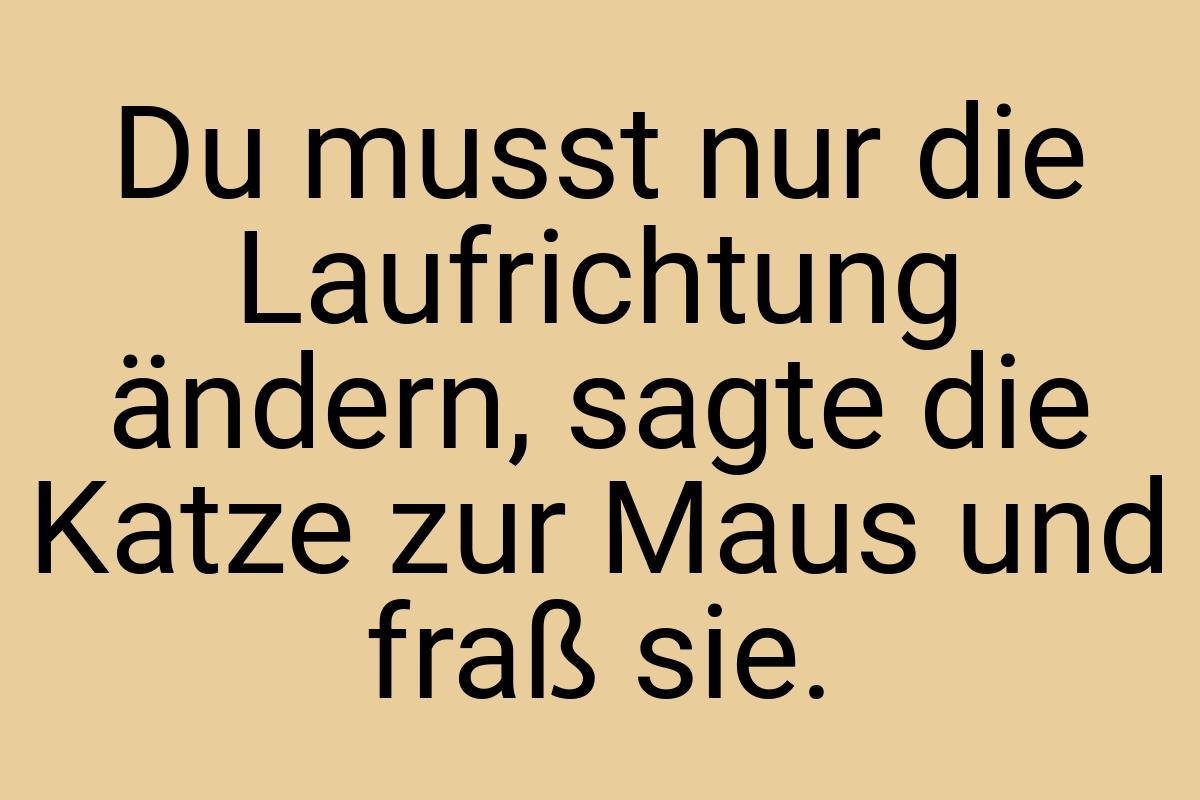 Du musst nur die Laufrichtung ändern, sagte die Katze zur