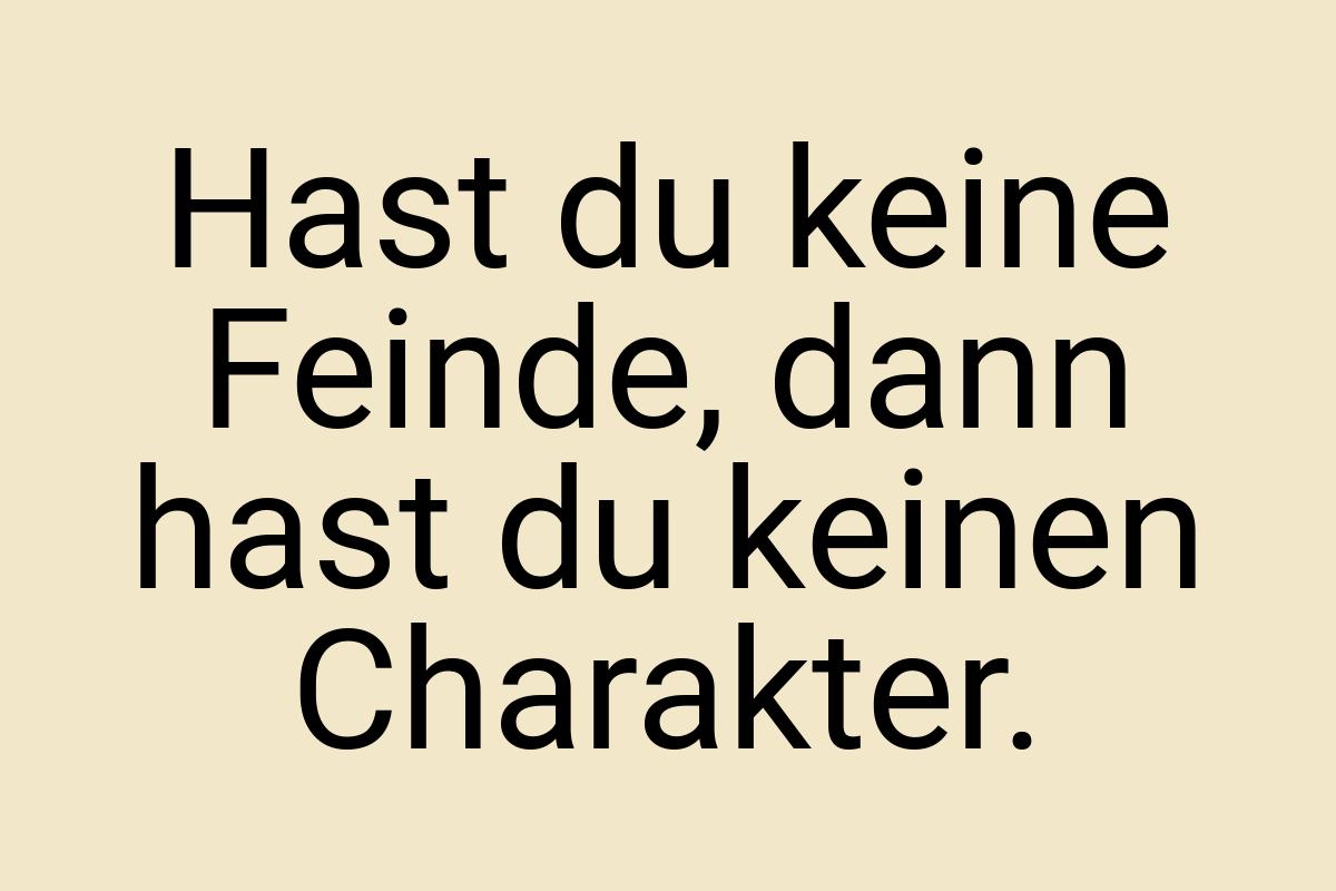 Hast du keine Feinde, dann hast du keinen Charakter