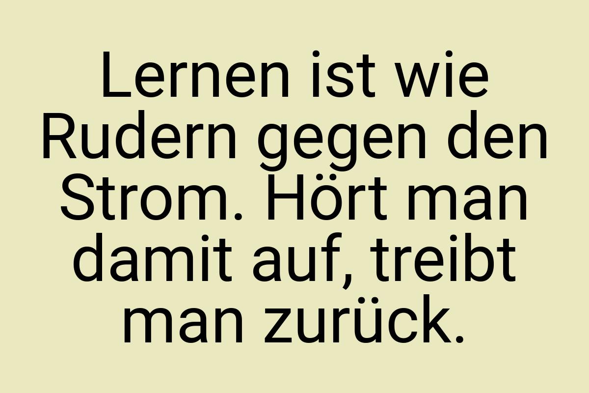 Lernen ist wie Rudern gegen den Strom. Hört man damit auf