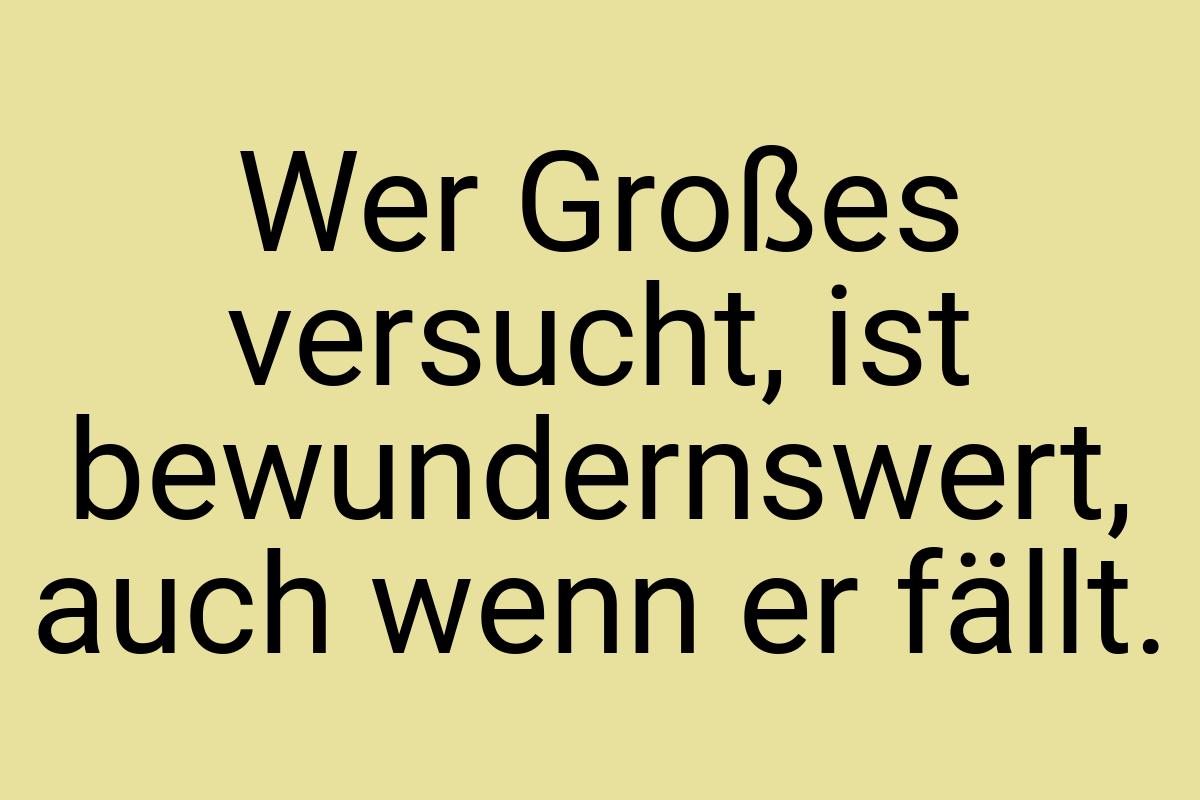 Wer Großes versucht, ist bewundernswert, auch wenn er fällt