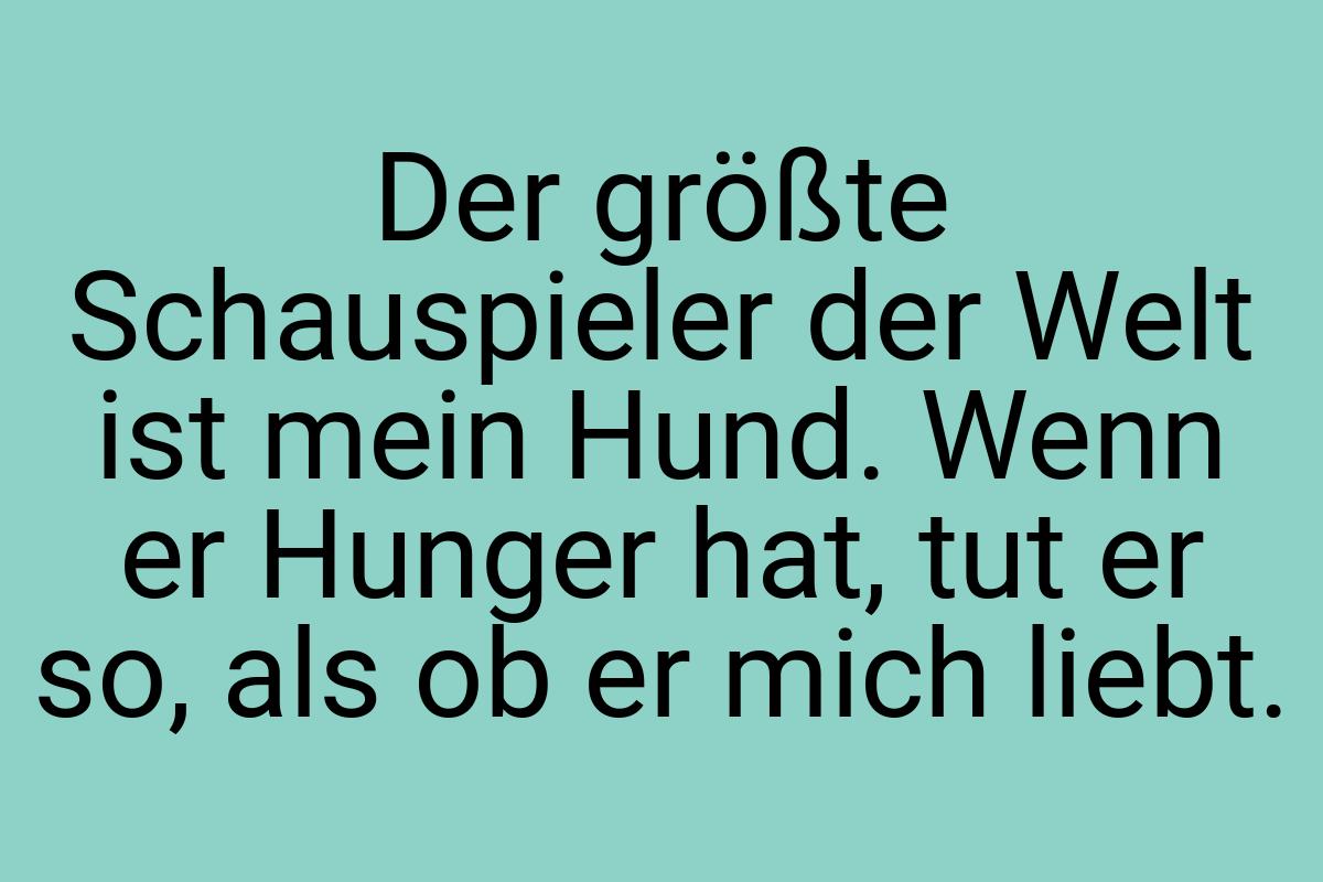 Der größte Schauspieler der Welt ist mein Hund. Wenn er