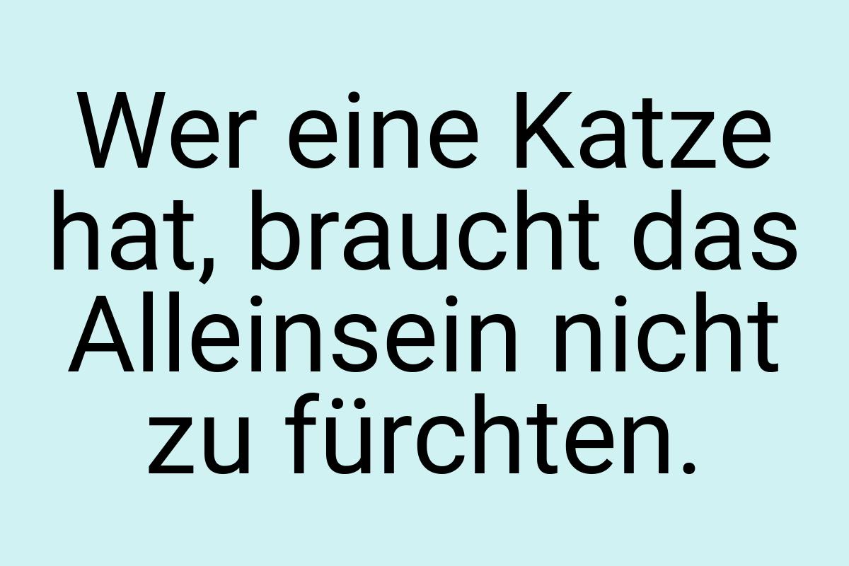 Wer eine Katze hat, braucht das Alleinsein nicht zu