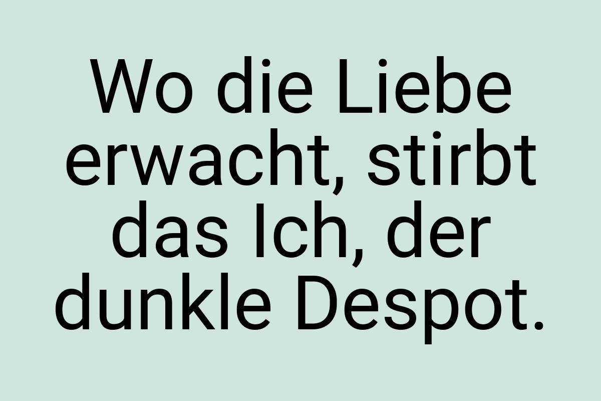 Wo die Liebe erwacht, stirbt das Ich, der dunkle Despot