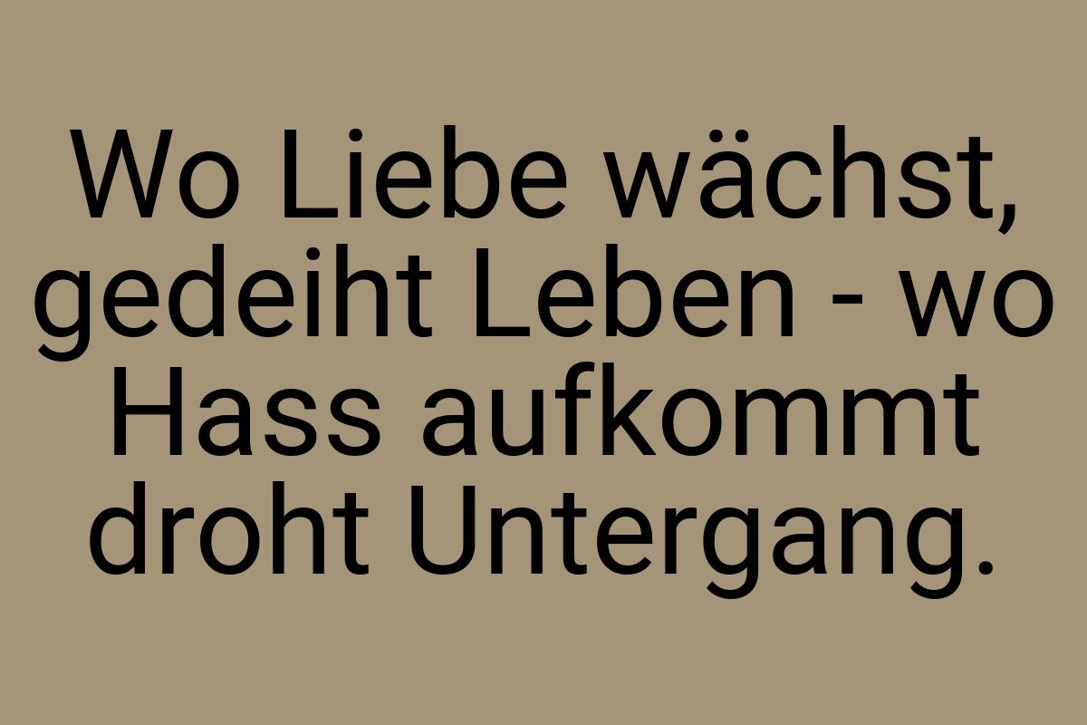 Wo Liebe wächst, gedeiht Leben - wo Hass aufkommt droht