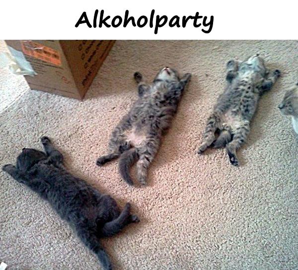 Alkoholparty