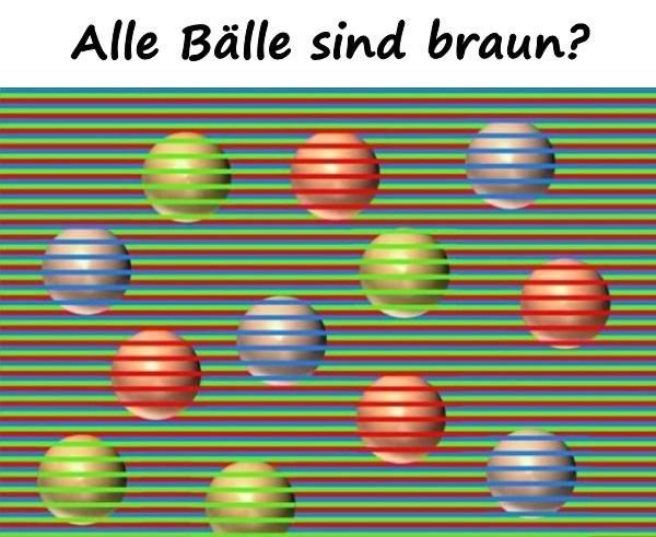 Alle Bälle sind braun