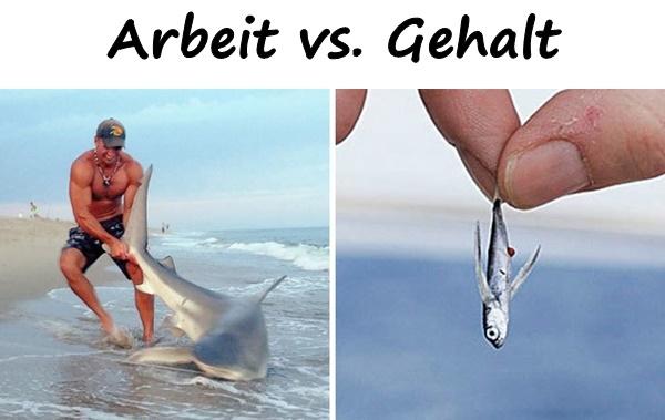 Arbeit vs. Gehalt