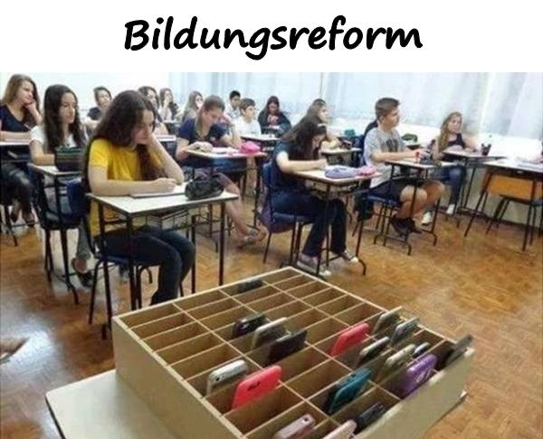 Bildungsreform