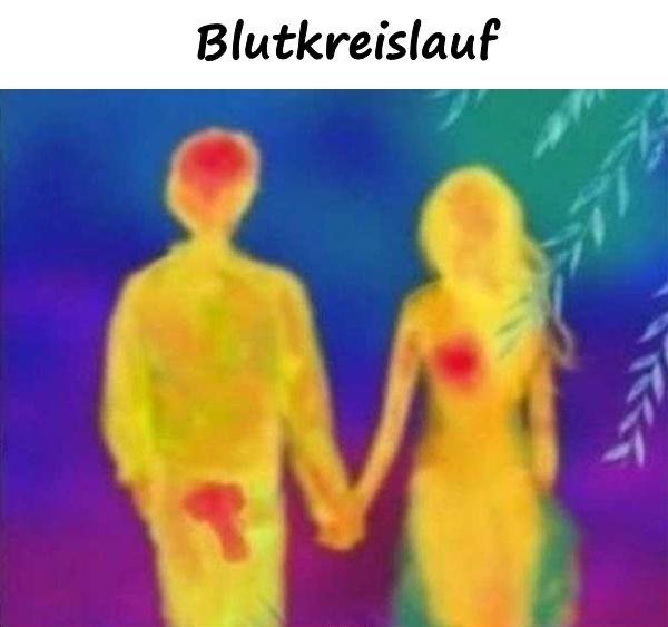 Blutkreislauf