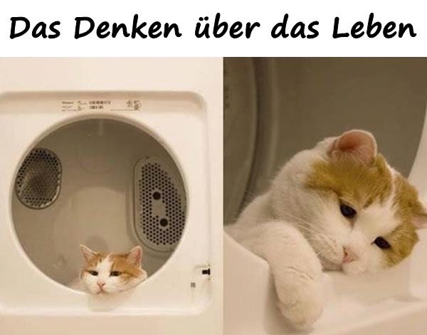 Das Denken über das Leben