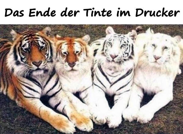 Das Ende der Tinte im Drucker