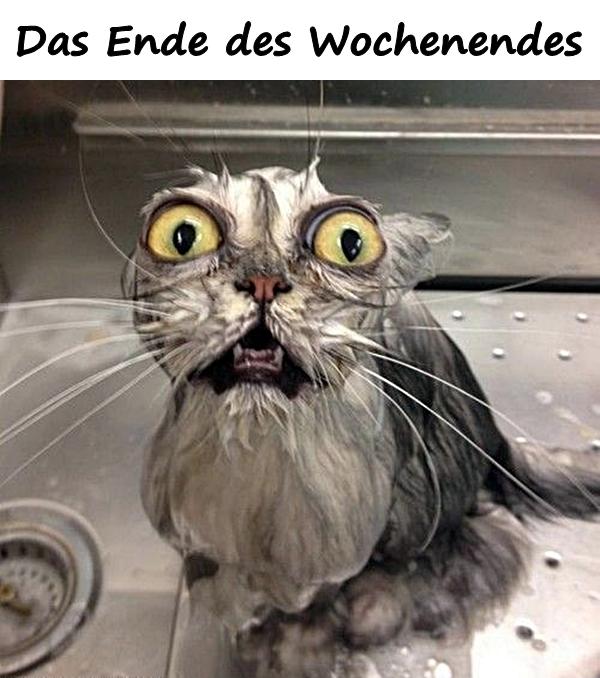 Das Ende des Wochenendes