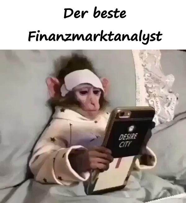 Der beste Finanzmarktanalyst