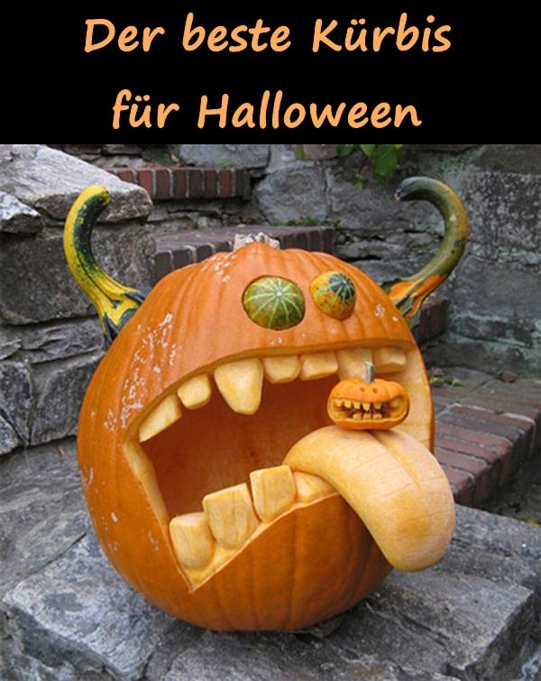 Der beste Kürbis für Halloween