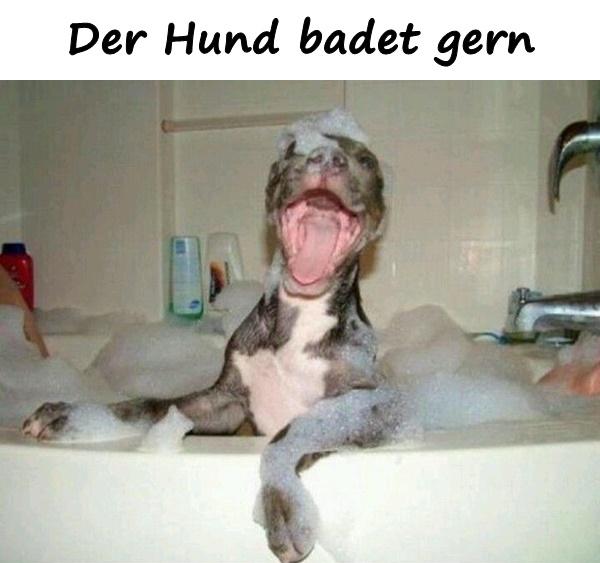 Der Hund badet gern