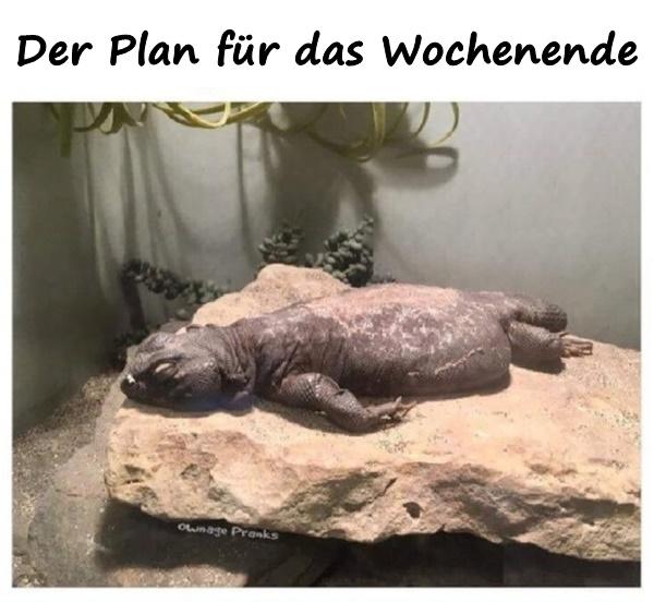 Der Plan für das Wochenende