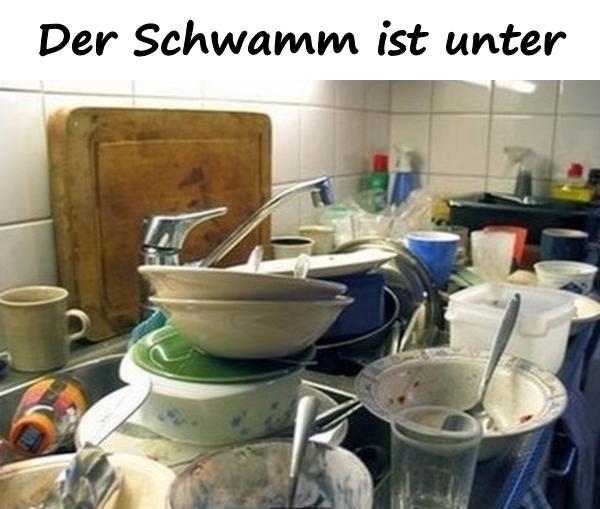 Der Schwamm ist unter