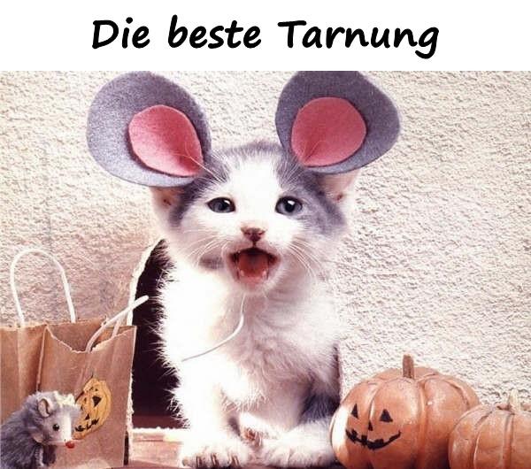 Die beste Tarnung