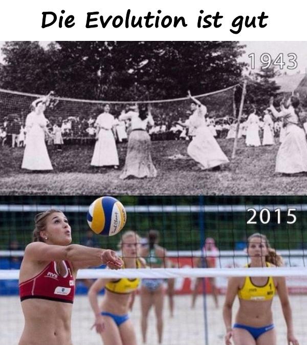 Die Evolution ist gut