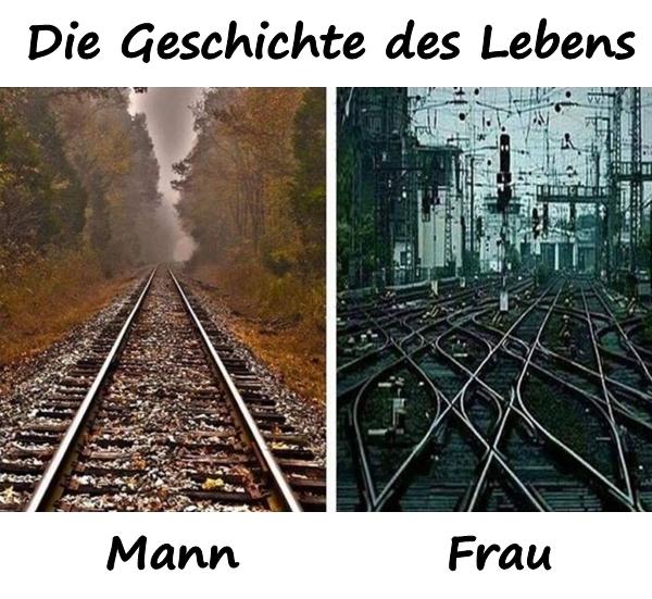 Die Geschichte des Lebens