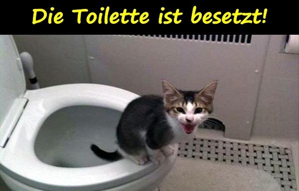 Die Toilette ist besetzt