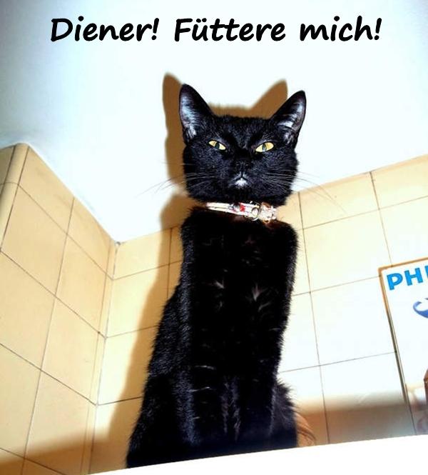 Diener! Füttere mich