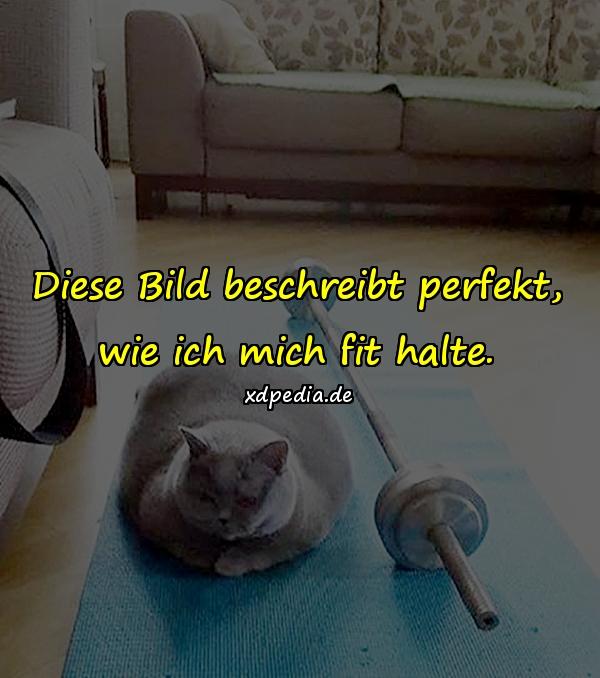 Diese Bild beschreibt perfekt, wie ich mich fit halte