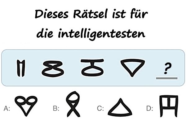 Dieses Rätsel ist für die intelligentesten