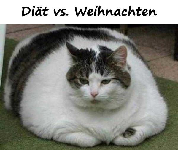 Diät vs. Weihnachten