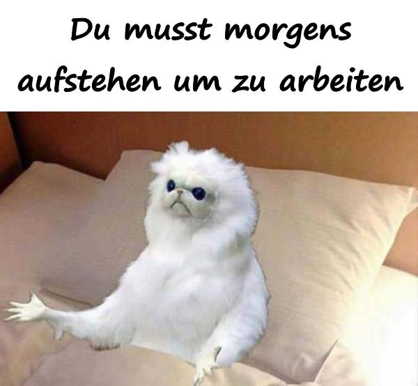 Du musst morgens aufstehen um zu arbeiten