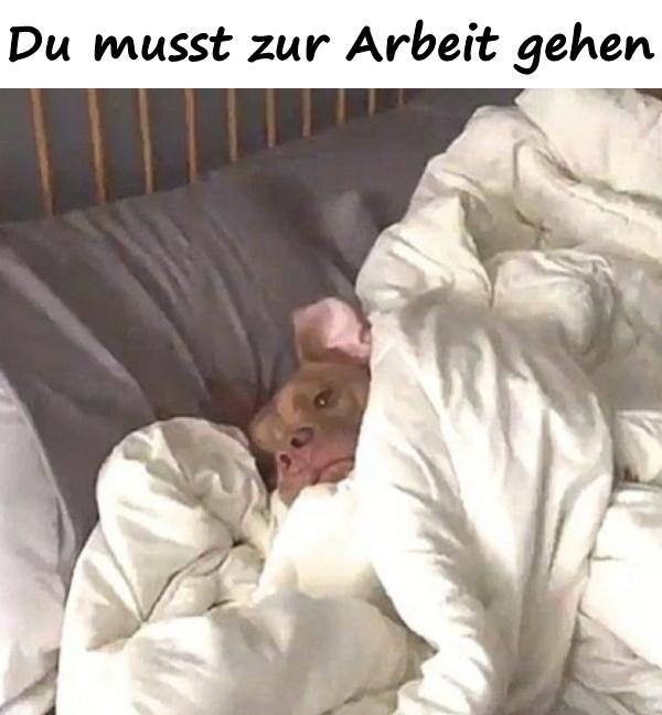 Du musst zur Arbeit gehen