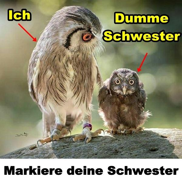 Dumme Schwester. Markiere deine Schwester