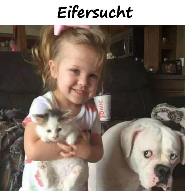 Eifersucht