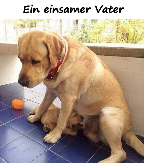 Ein einsamer Vater