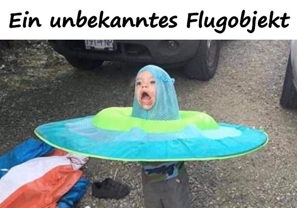 Ein unbekanntes Flugobjekt