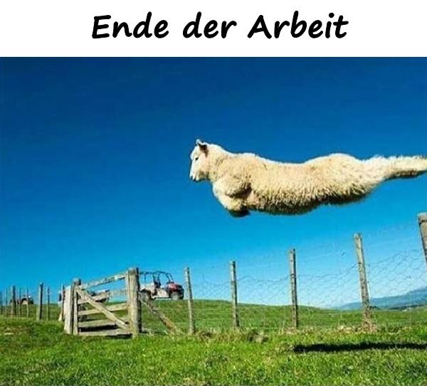 Ende der Arbeit