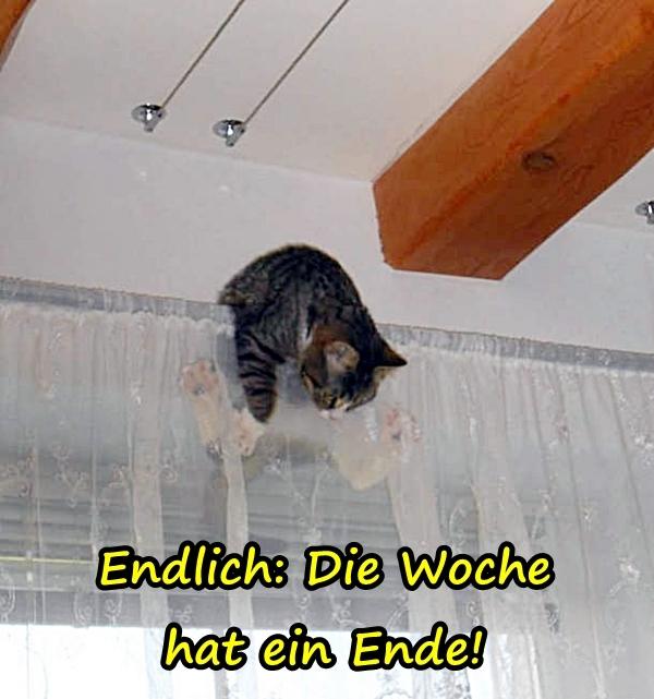 Endlich: Die Woche hat ein Ende