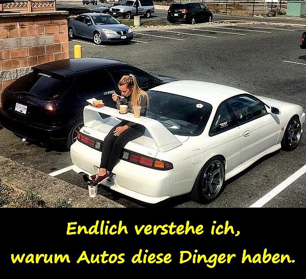 Endlich verstehe ich, warum Autos diese Dinger haben