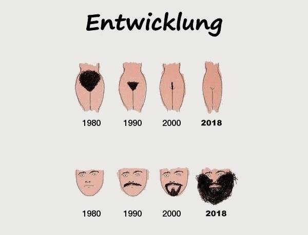 Entwicklung