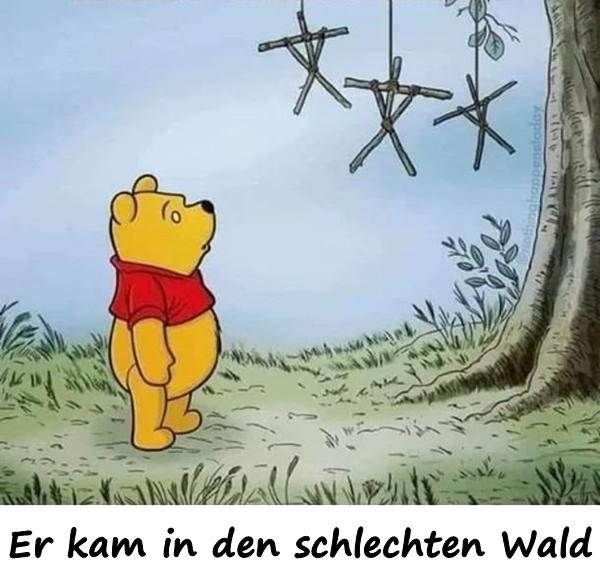 Er kam in den schlechten Wald