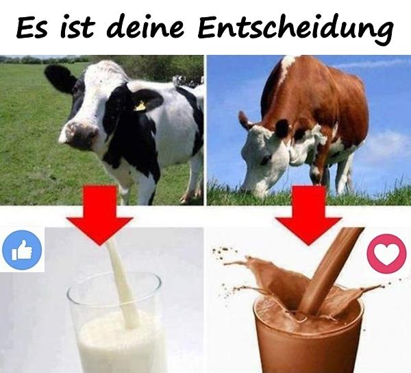 Es ist deine Entscheidung