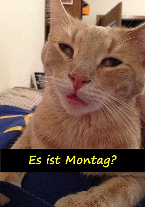 Es ist Montag