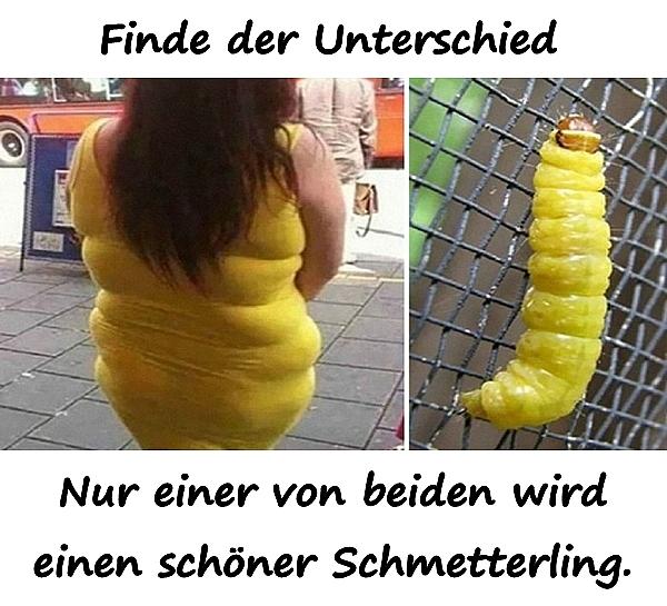 Finde der Unterschied - nur einer von beiden wird einen