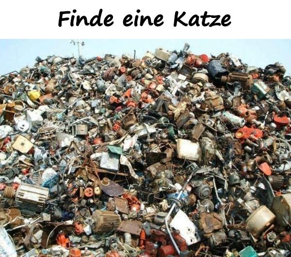 Finde eine Katze