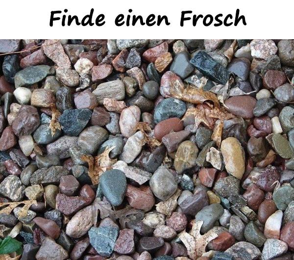 Finde einen Frosch