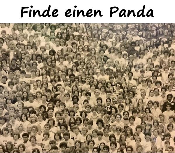 Finde einen Panda