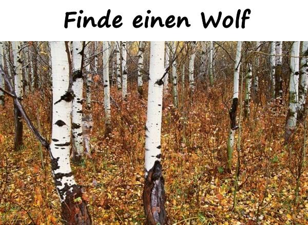 Finde einen Wolf