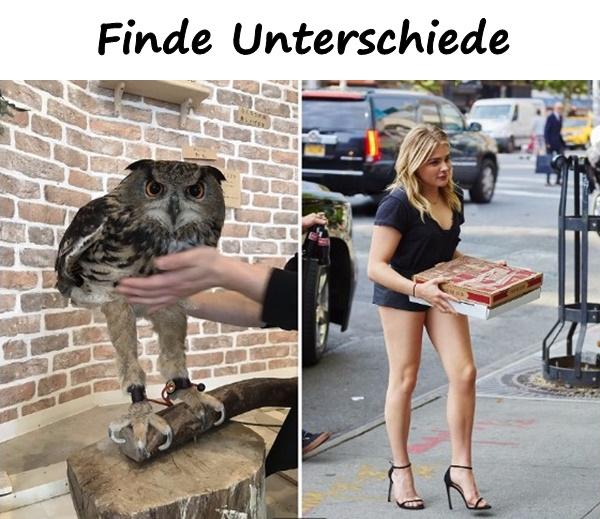 Finde Unterschiede