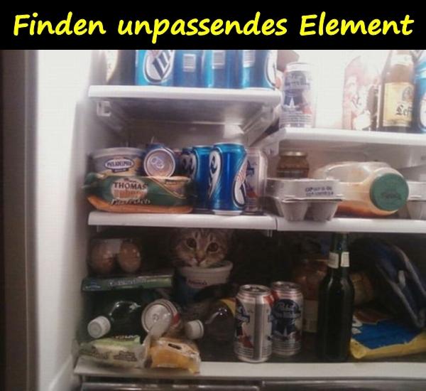 Finden unpassendes Element